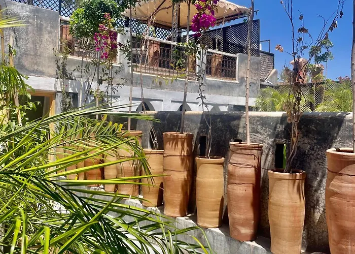 Riad Green Palm
