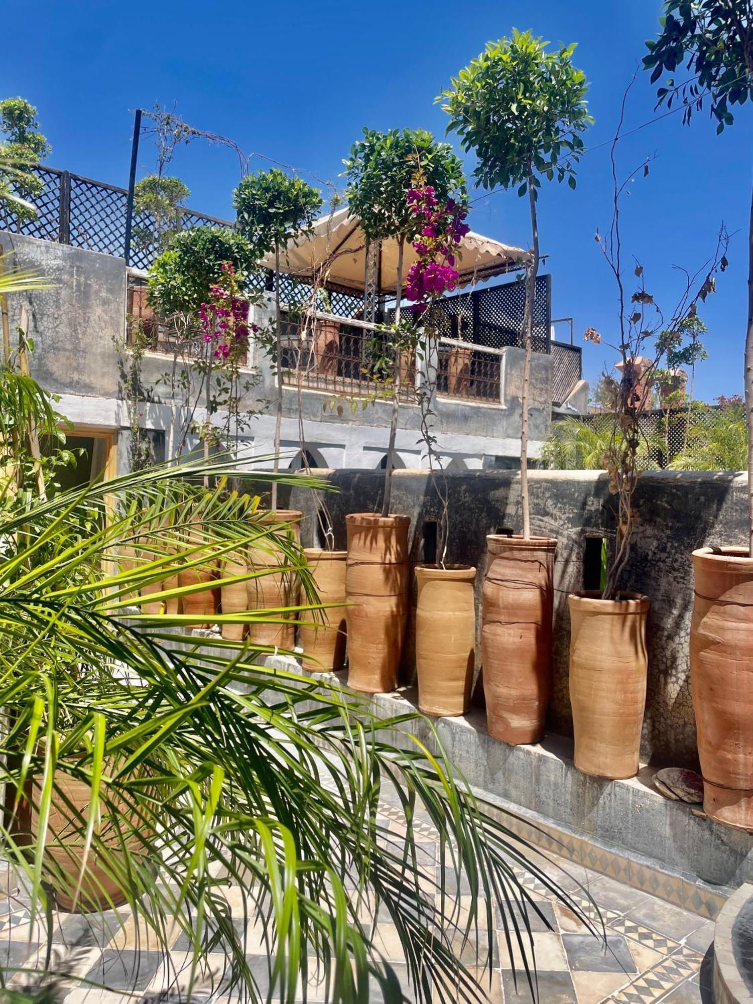 Palm Casa de hóspedes *